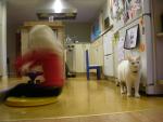 DSCN7438.JPG