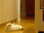 DSCN7440.JPG