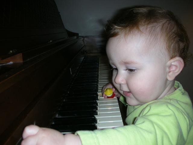 DSCN7446.JPG