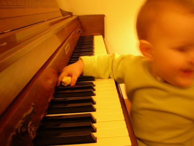 DSCN7447.JPG
