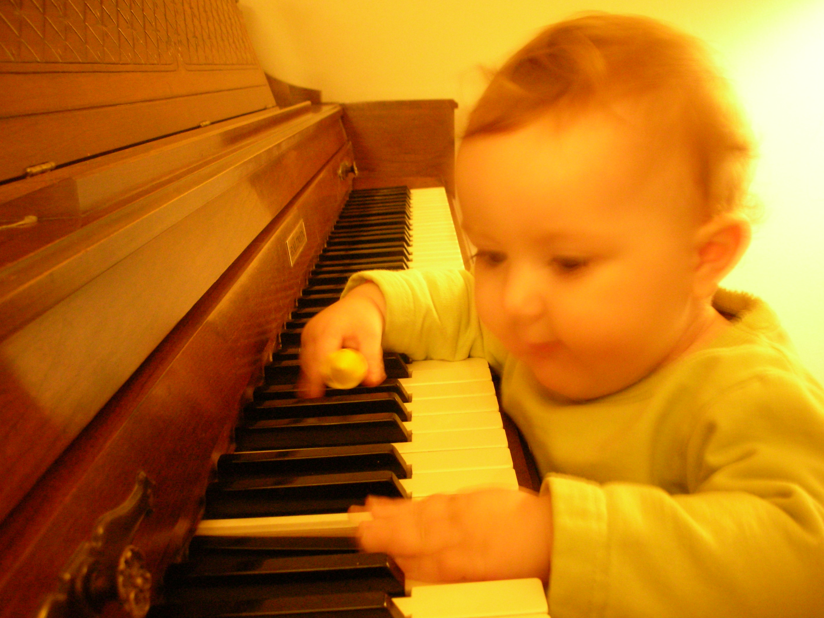 DSCN7448.JPG