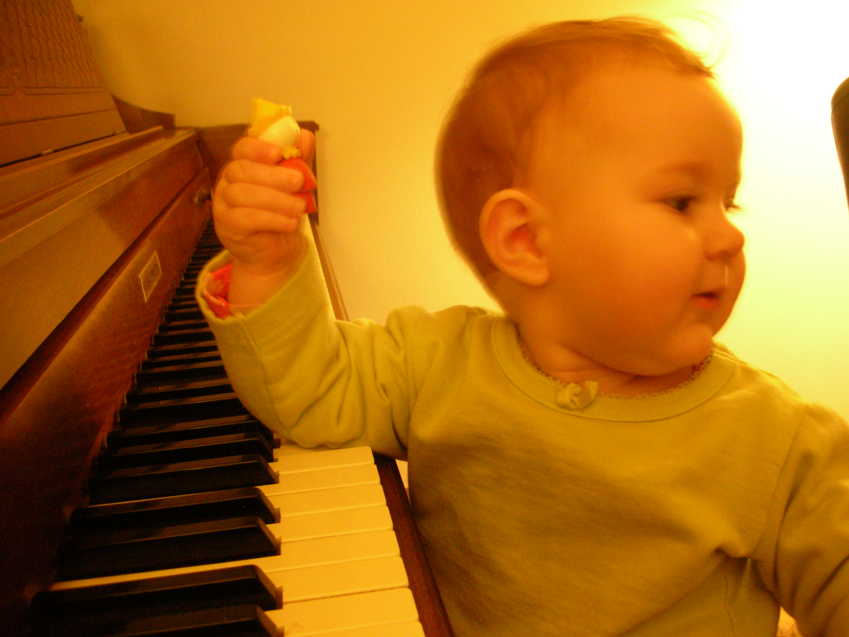 DSCN7450.JPG