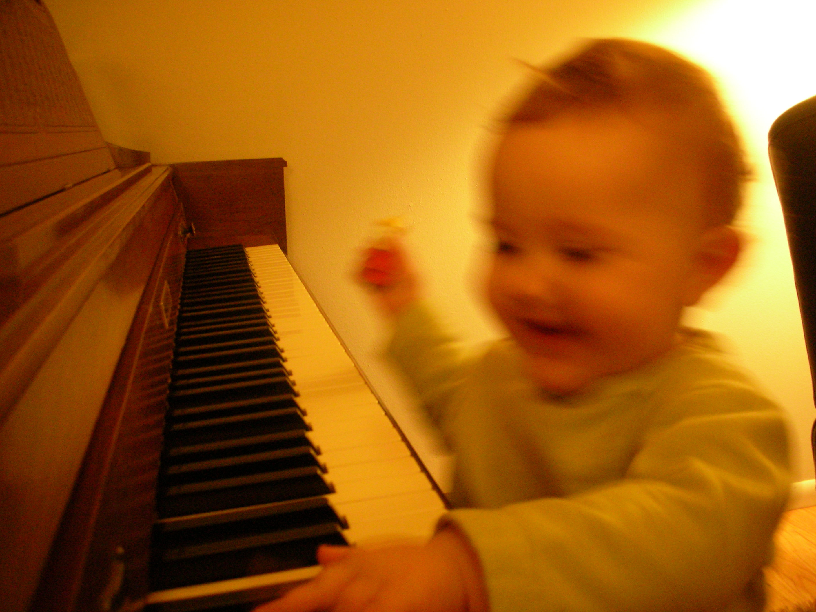 DSCN7451.JPG