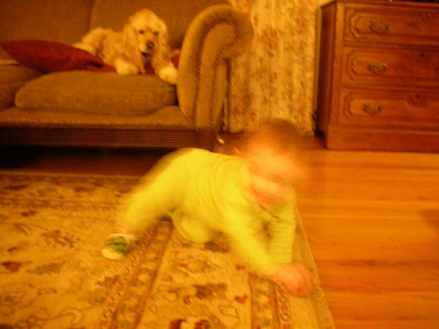 DSCN7454.JPG