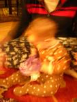 DSCN7461.JPG