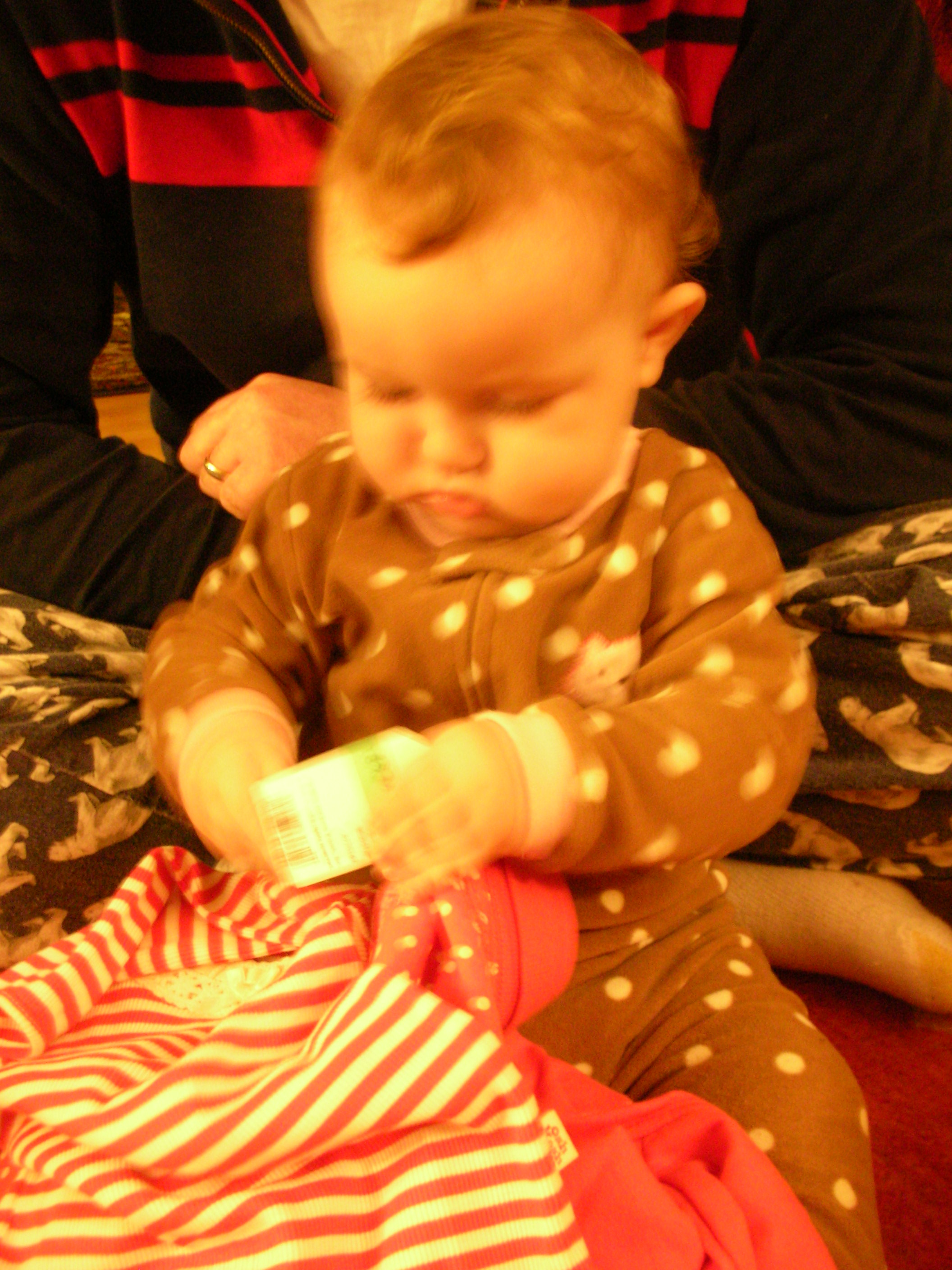 DSCN7493.JPG