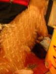 DSCN7495.JPG