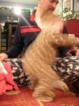 DSCN7496.JPG