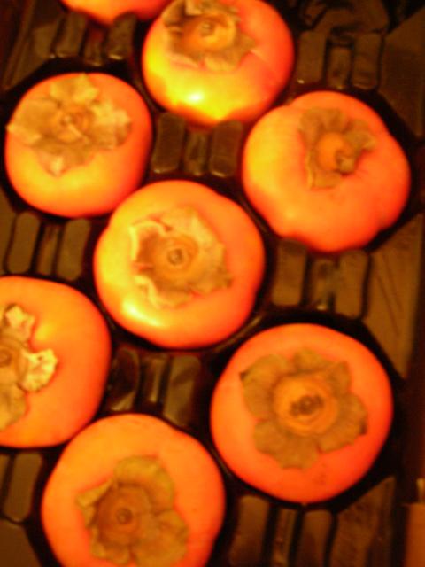 DSCN7507.JPG
