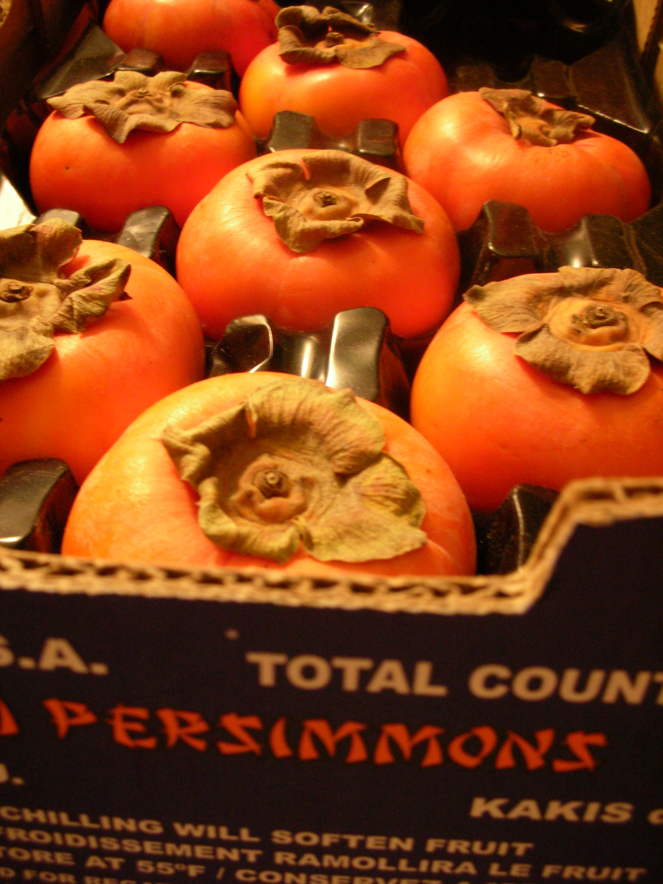 DSCN7512.JPG