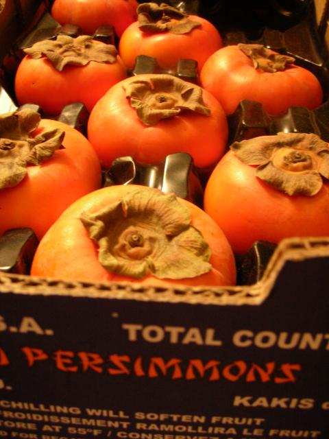 DSCN7512.JPG
