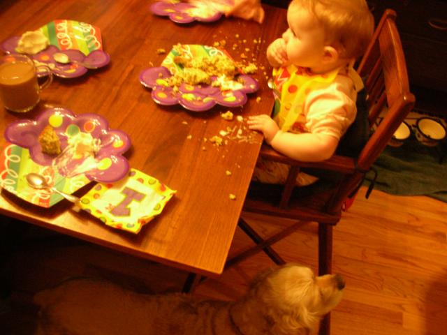 DSCN7521.JPG