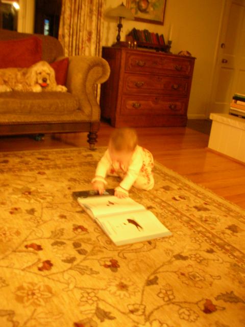 DSCN7544.JPG