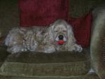 DSCN7550.JPG