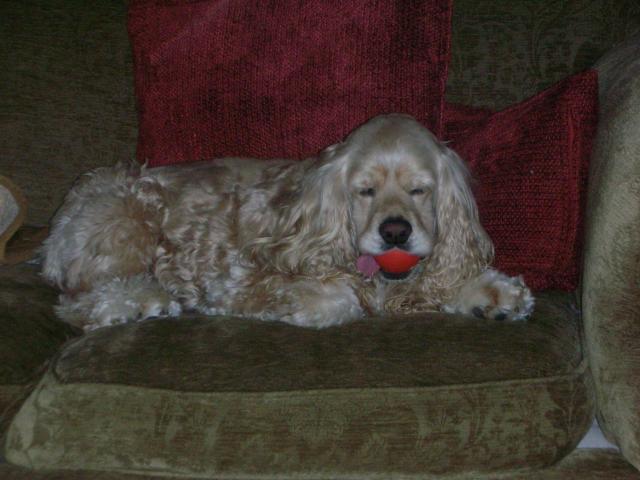 DSCN7551.JPG