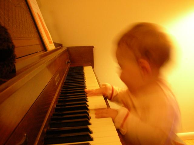 DSCN7555.JPG