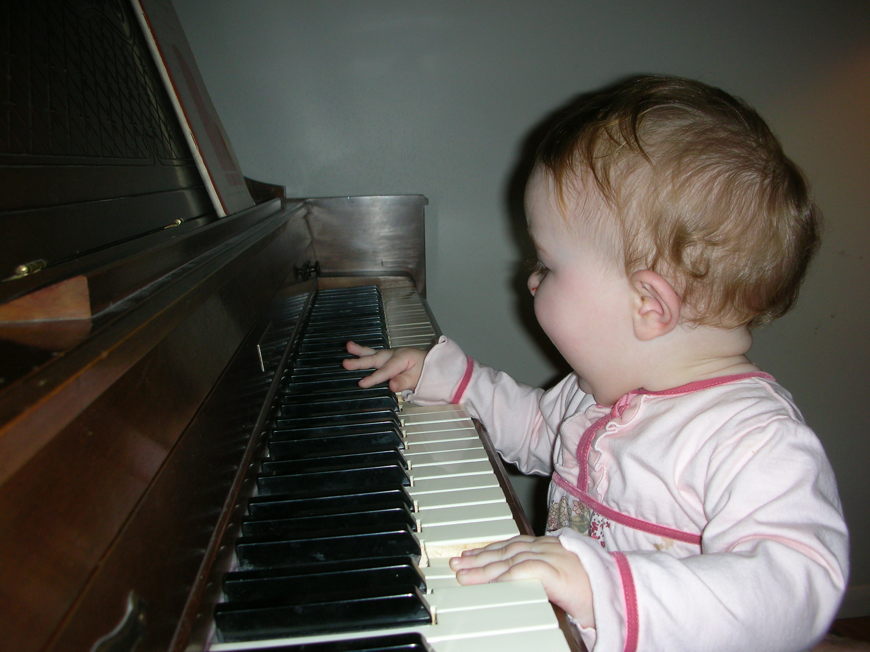 DSCN7559.JPG