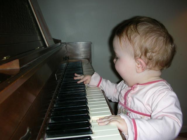 DSCN7559.JPG