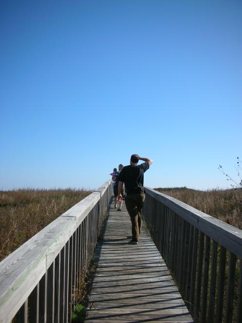 DSCN7738.JPG