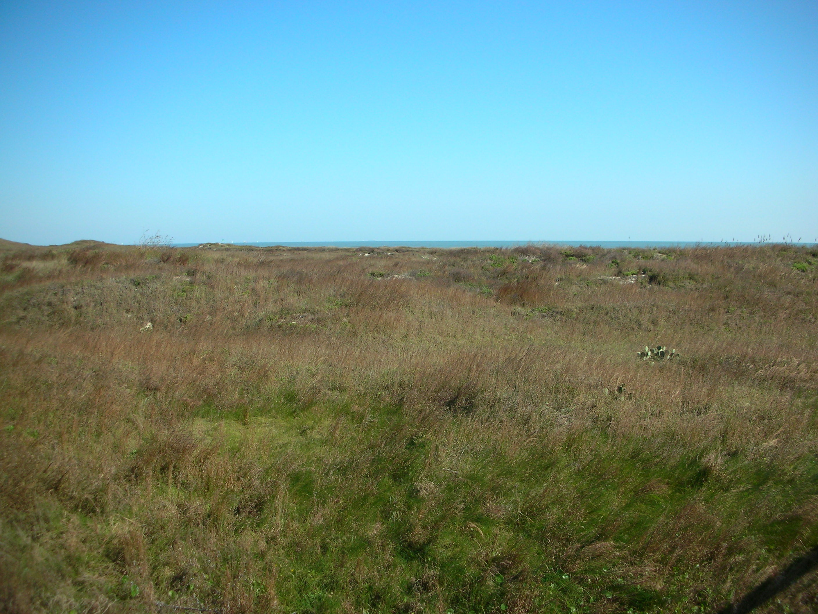 DSCN7739.JPG