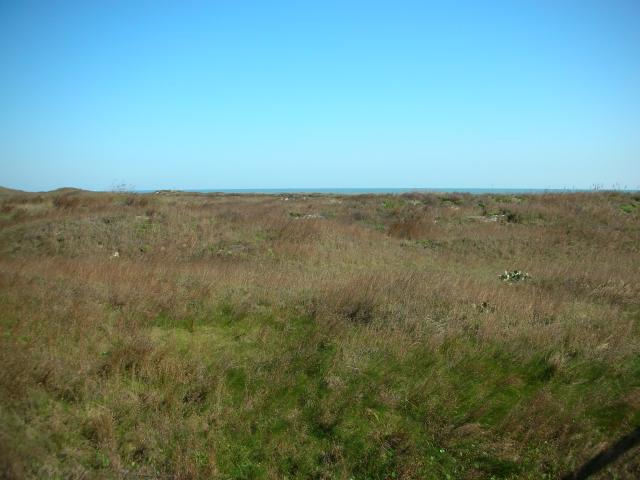 DSCN7739.JPG