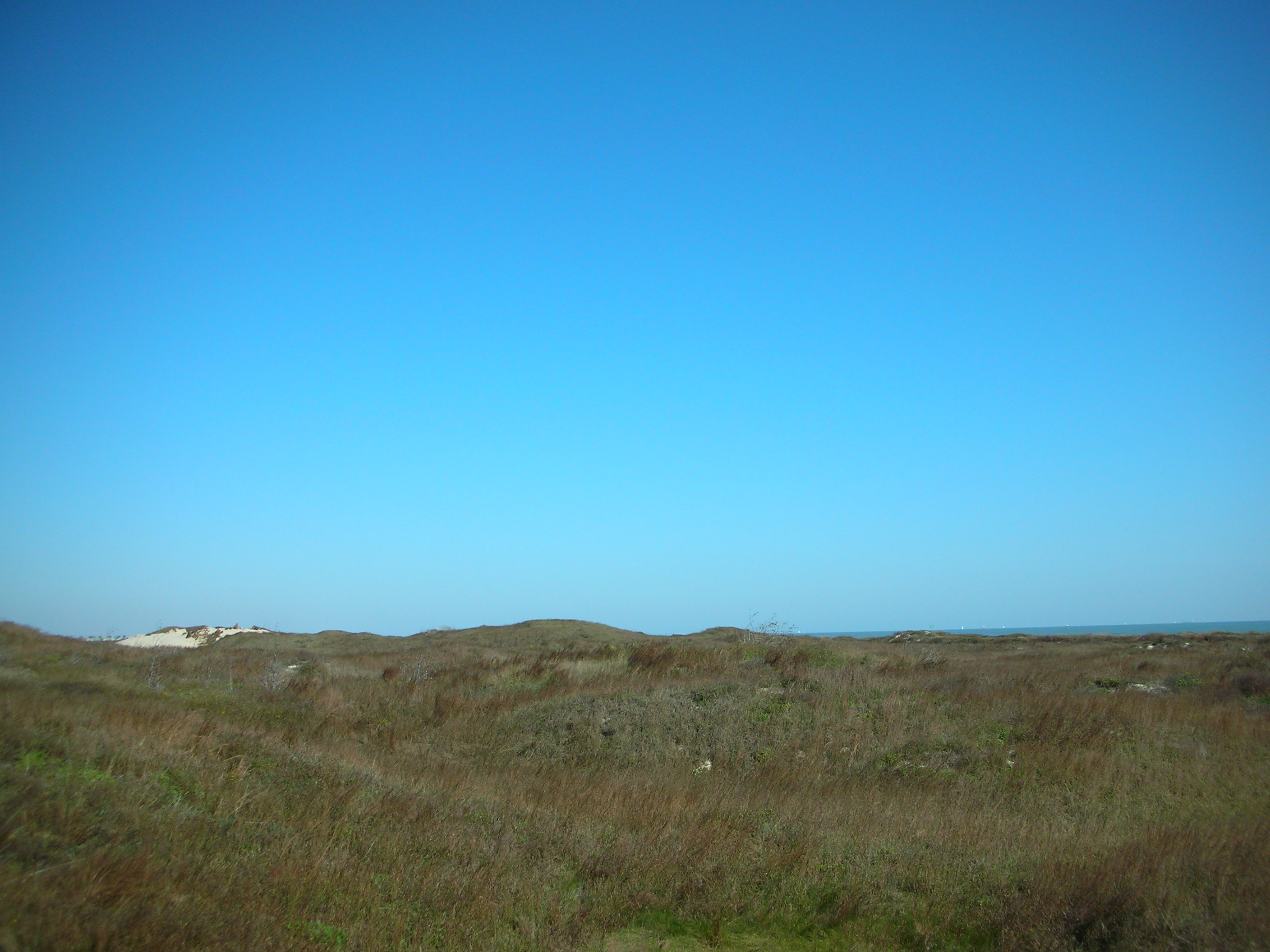DSCN7740.JPG
