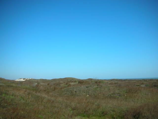 DSCN7740.JPG