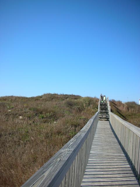 DSCN7743.JPG