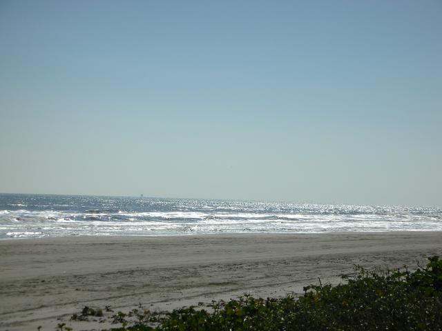 DSCN7745.JPG