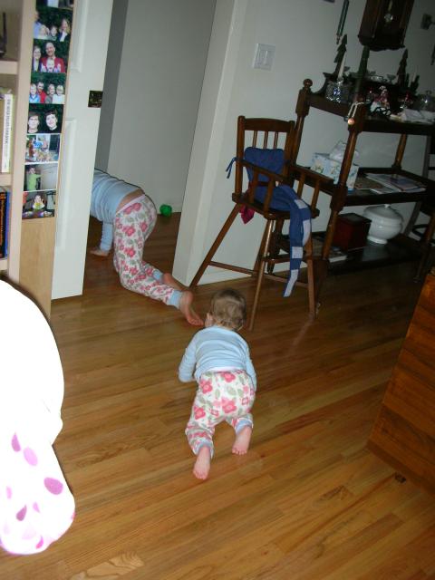 DSCN7799.JPG