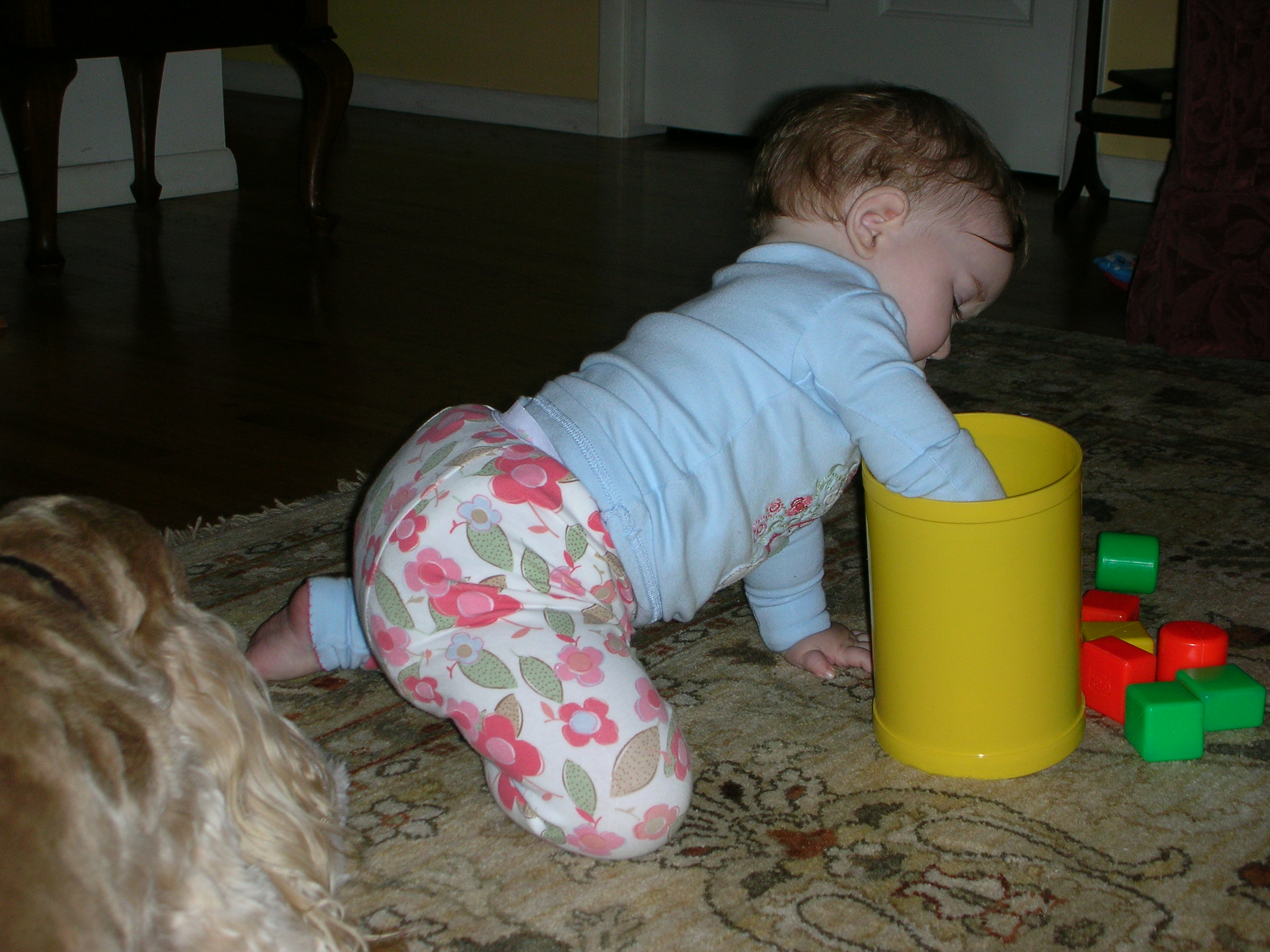 DSCN7817.JPG