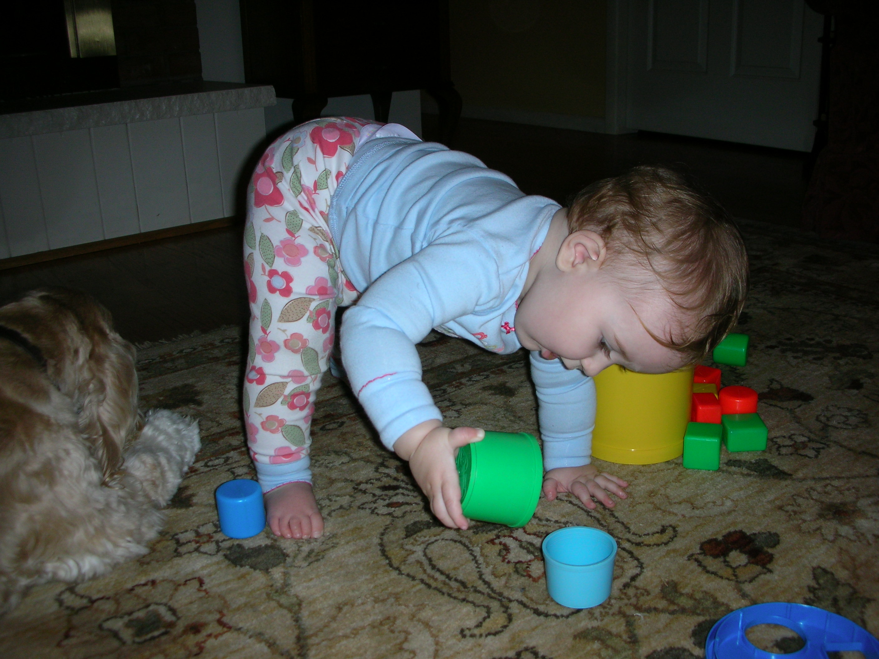 DSCN7821.JPG