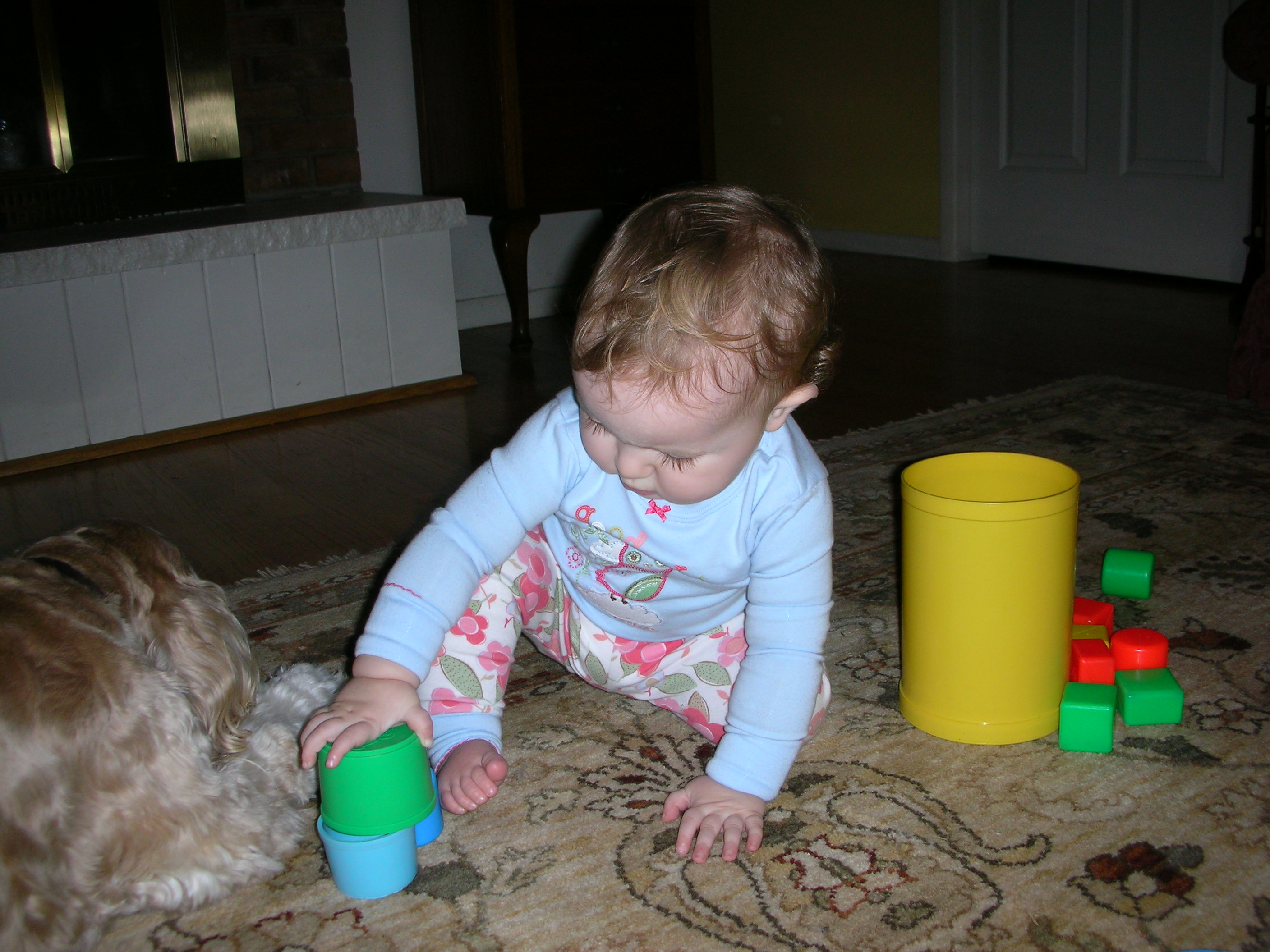DSCN7822.JPG