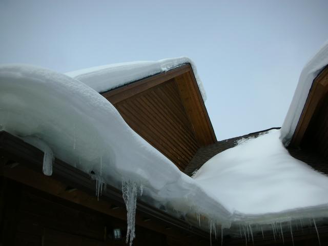 DSCN7835.JPG