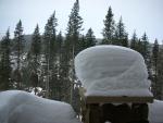 DSCN7837.JPG