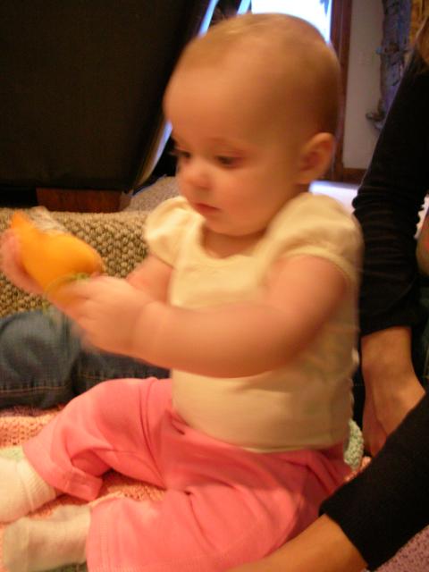 DSCN7880.JPG