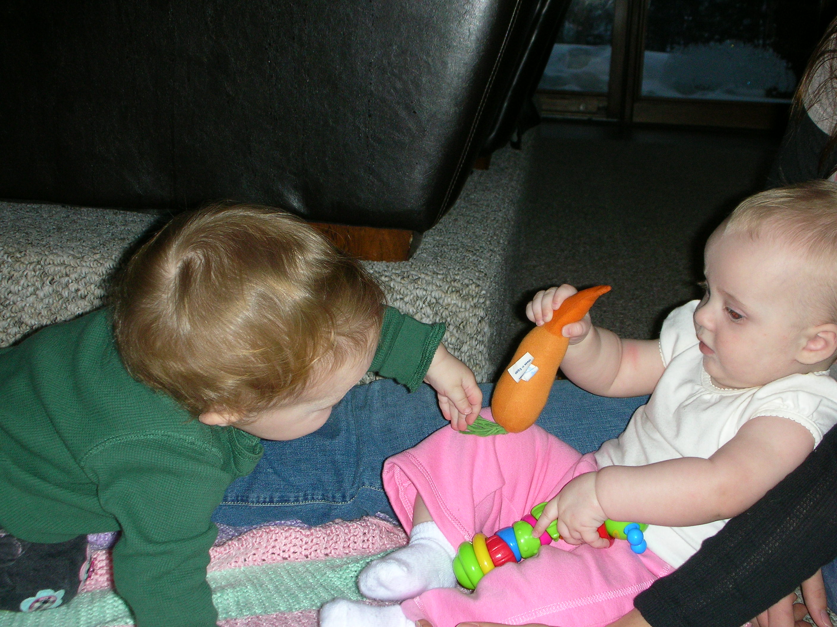 DSCN7881.JPG
