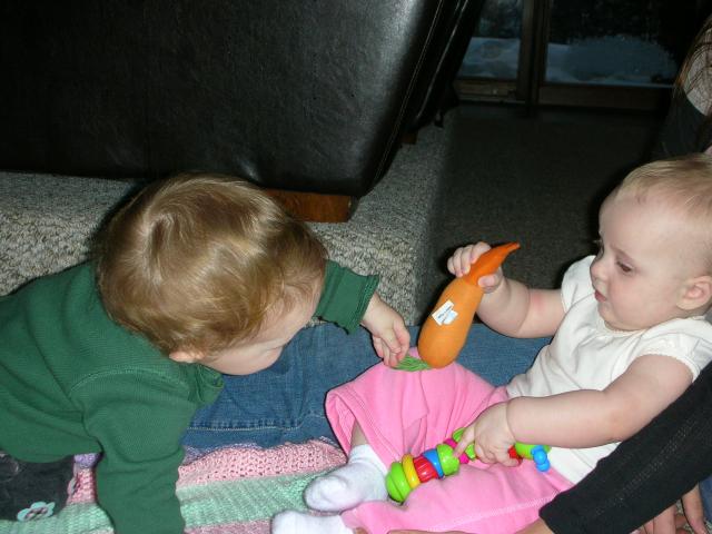 DSCN7881.JPG