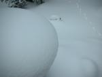 DSCN7888.JPG