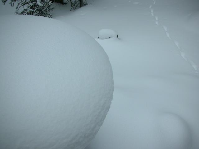 DSCN7888.JPG