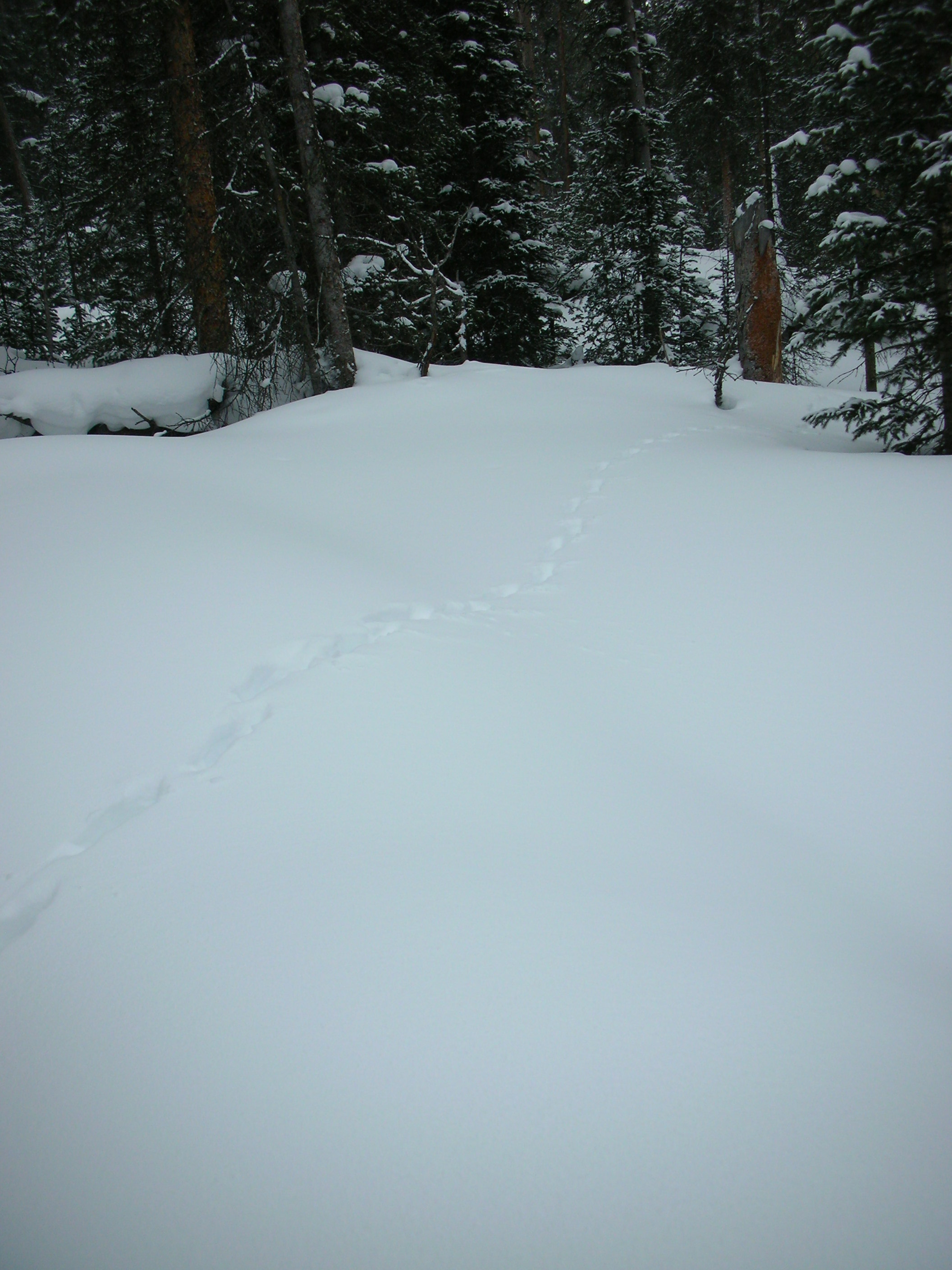 DSCN7889.JPG