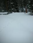 DSCN7889.JPG