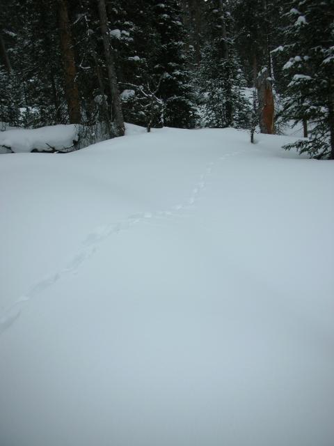DSCN7889.JPG