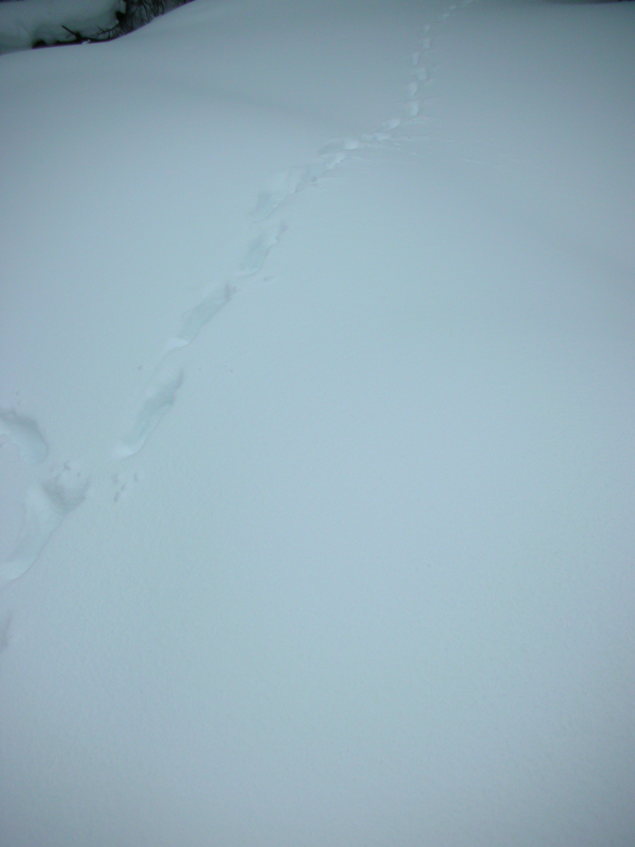 DSCN7892.JPG