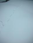DSCN7892.JPG