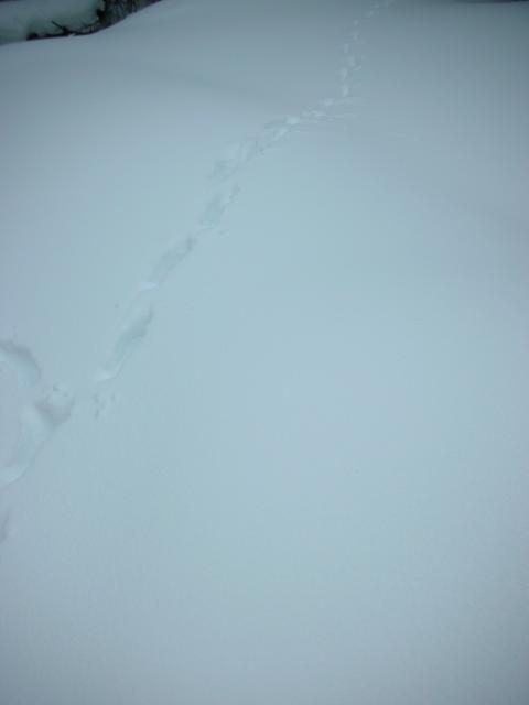 DSCN7892.JPG