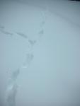 DSCN7893.JPG