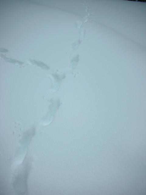 DSCN7893.JPG