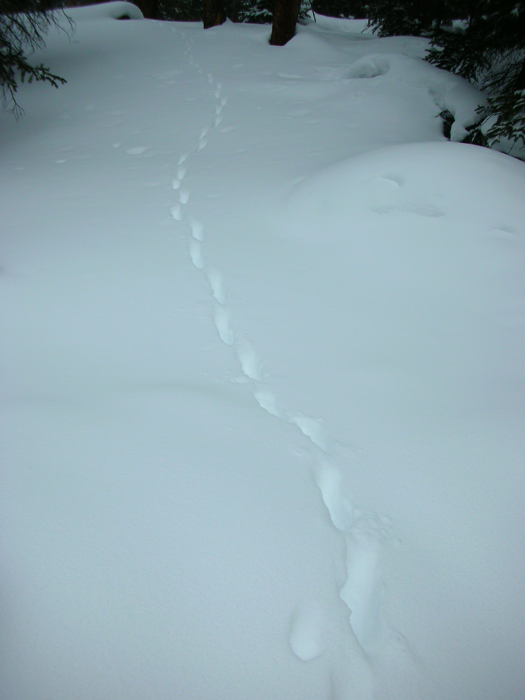 DSCN7895.JPG