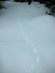 DSCN7895.JPG